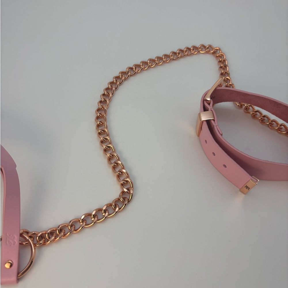 Honey Birdette Rose Gold limited Edition Deluxe Kit Collar & Chain - Picture 5 of 8